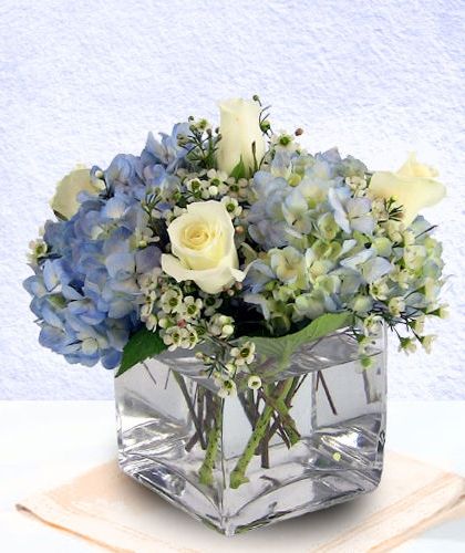 Mistletoe Wedding, Blue Hydrangea Centerpieces, Hydrangea White, Hydrangea Centerpiece, Hydrangea Arrangements, Wax Flowers, Same Day Flower Delivery, Beautiful Flower Arrangements, Wedding Arrangements