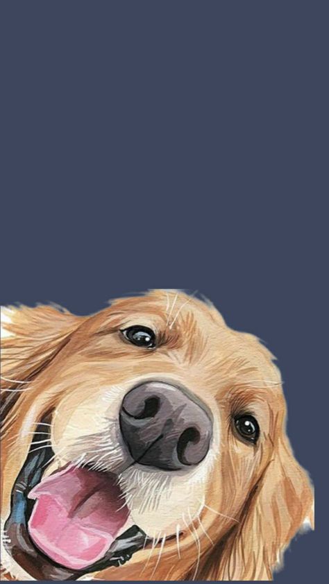 Golden Retriever Phone Wallpaper, Golden Retriever Illustration Drawing, Golden Retriever Puppy Painting, Golden Retriever Animated, Golden Retriever Illustration Cartoon, Golden Retriever Background, Nightmare Before Christmas Dog Costume, Cartoon Dog Wallpaper, Golden Retriever Wallpaper Iphone