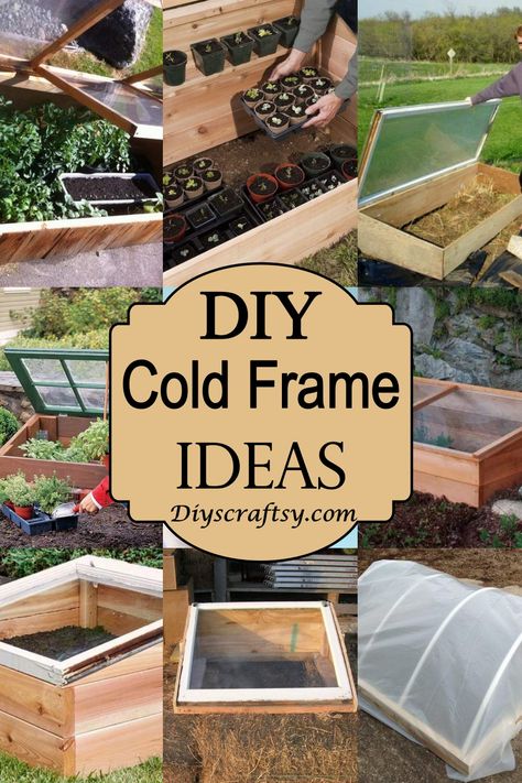 Green House Boxes, How To Make A Cold Frame, Raised Garden Bed Cold Frame, Pallet Cold Frame Diy Greenhouse, Pallet Cold Frame, Grow Box Ideas, Cold Frames Diy, Greenhouse Cold Frame, Raised Bed Greenhouse Cold Frame