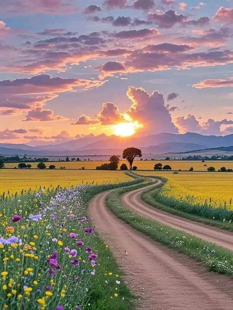 Aesthetic Meadow, Calm In Chaos, Embroidered Photo Art, Composition Photo, Flowers Sunset, Life In Paradise, Dreamy Aesthetic, Beautiful Nature Wallpaper Hd, Pretty Landscapes