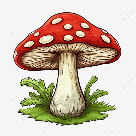 mushroom drawing isolated fungus mushroom nature png Red Mushrooms, Amanita Muscaria, Mushroom Tattoos, Mushroom Drawing, Posca Marker, Vintage Mushroom, Mushroom Fungi, Mushroom Art, Hippie Art