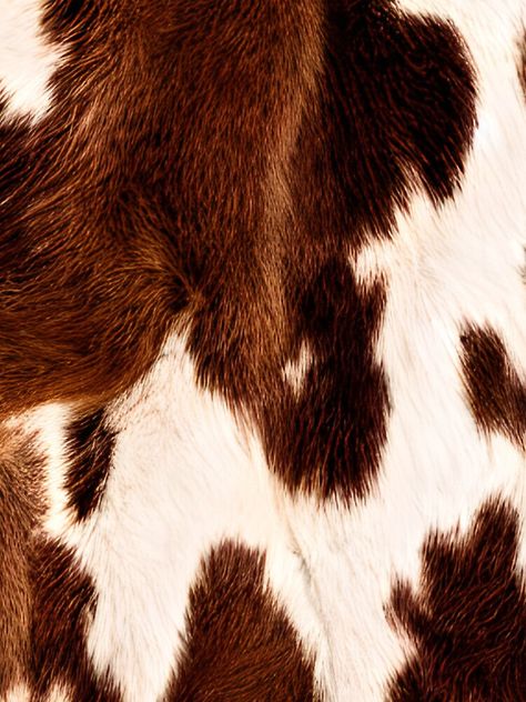 Cow Hyde, Cow Print Fabric, Cow Illustration, Cow Print Wallpaper, Western Photography, Love Pink Wallpaper, Cowhide Print, Fur Texture, Animal Hide