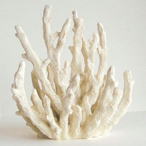 Coral Sculpture, Art Coquillage, Coral Decor, Coral Art, Sea Coral, Glam Decor, Aquarium Decor, Creative Co Op, White Coral