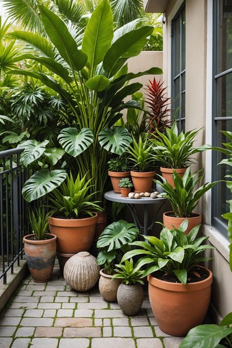 20 Small Tropical Garden Design Ideas - Toolz Geek Home Balcony Garden Ideas, Outdoor Plant Room, Small Garden Potted Plants, House Plants Decor Balcony, Plants In Small Pots, Tiny Tropical Garden, Tropical Yard Landscape, Plants Arrangement Outdoor, Potted Front Yard Landscaping