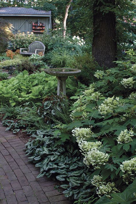 Shade Garden Design, Shade Garden Plants, Backyard Vegetable Gardens, Cottage Garden Design, Vegetable Garden Design, Woodland Garden, Side Yard, Shade Plants, Garden Cottage