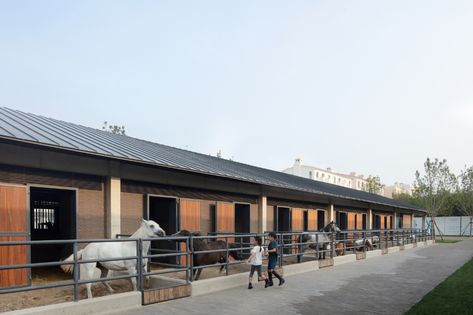 Gallery of Aranya Equestrian Center / in:Flux architecture - 44 Visitor Center Architecture, Concrete Staircase, Horse Stable, Equestrian Center, Horse Stables, Open Space, Stables, Equestrian, Terrace