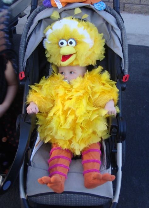 This is Jaxon, 5 months old, in his Big Bird costume. While I was pregnant with him my best friend and I nicknamed him Big Bird. So it only seemed fitting to make him Big Bird for Halloween... Big Bird Costume, Amazing Halloween Costumes, Baby Kostüm, Bird Costume, Fantasias Halloween, Cute Costumes, Big Bird, Baby Costumes