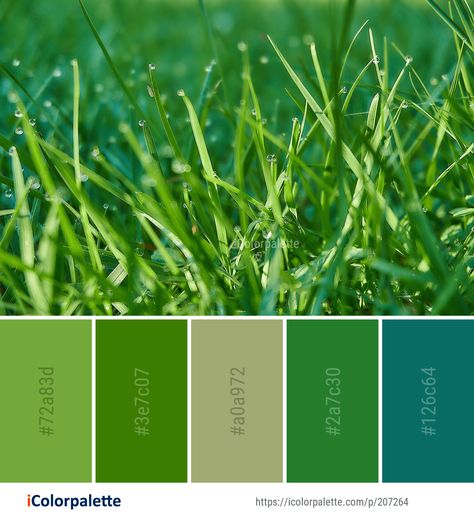 Color Palette ideas from 3434 Grass Images | iColorpalette Grass Green Paint Colors, Grass Green Color Palette, Environment Color Palette, Grass Palette, Grass Color Palette, Grass Images, Andy's Room, Grass Green Color, Green Color Combinations