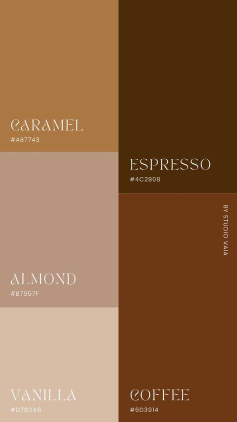 Caffe Color Palette, Brown Palette Aesthetic, Cappuccino Wall Color, Color For 2025, Mocha Brown Color Palette, Honey Brown Color Palette, Calico Color Palette, Brown Aesthetic Palette, Colour Palette With Brown