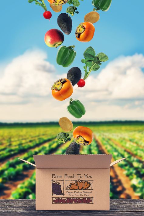 Keep your oven off in the heat of summer. No cooking required with our light and fresh produce! Farm Fresh to You brings your favorite fruits and veggies straight to your door. And it's local, so you know it's fresh. Farm Poster, Produce Farm, Grocery Flyer, Fruit Delivery, Grocery Delivery App, Vegetable Packaging, Fruit Farm, Vegetable Shop, Grocery Store Design