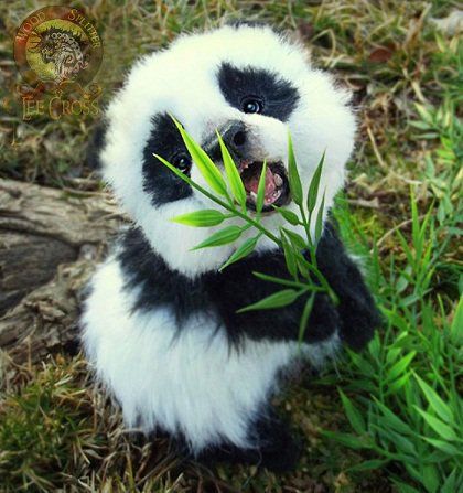 Baby giant panda Cute Fluffy Animals, Haiwan Comel, Cele Mai Drăguțe Animale, Animale Rare, Baby Panda, Kung Fu Panda, Red Panda, Cute Animal Pictures, Adorable Pets