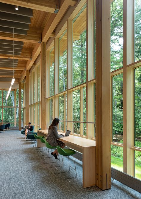 Sustainable Classroom Design, Architecture Near Water, Library In The Woods, Small Library Architecture, Biophilic Library, School Campus Architecture, Tropical Library, Wood Structure Architecture, Scandinavian Library