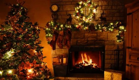 Christmas tree by a cozy fireplace Christmas Fireplace Wallpaper, Fireplace Wallpaper, Fireplace Screensaver, Christmas Lights Background, Christmas Lights Wallpaper, Christmas Tree And Fireplace, Gif Background, Christmas Fireplace, Backgrounds Wallpapers