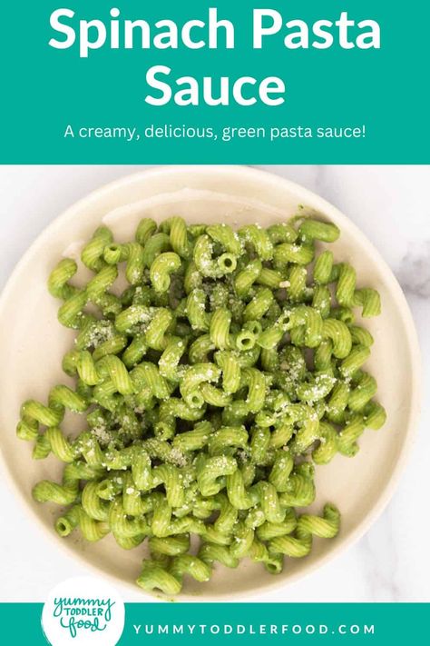 Spinach Blw, Spinach Baby Food Recipes, Spinach Sauce For Pasta, Baby Pasta Recipe, Baby Pasta Sauce, Pasta Monday, Infant Meals, Healthy Pasta Sauce, Vegetable Pasta Sauce