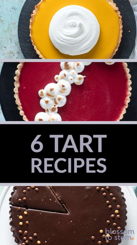 Tart Recipes. Here is a collection of six elegant tart recipes and two crust recipes. From chocolate to passion fruit, there's something for everyone! #tarts #piesandtarts Fruit Curd Tart, Unique Tart Recipes, English Tart Recipes, Spring Tart Recipes, Easter Tart Recipes, Vertical Tart Recipe, Different Types Of Tarts, Large Tart Recipes, Easy Tart Filling