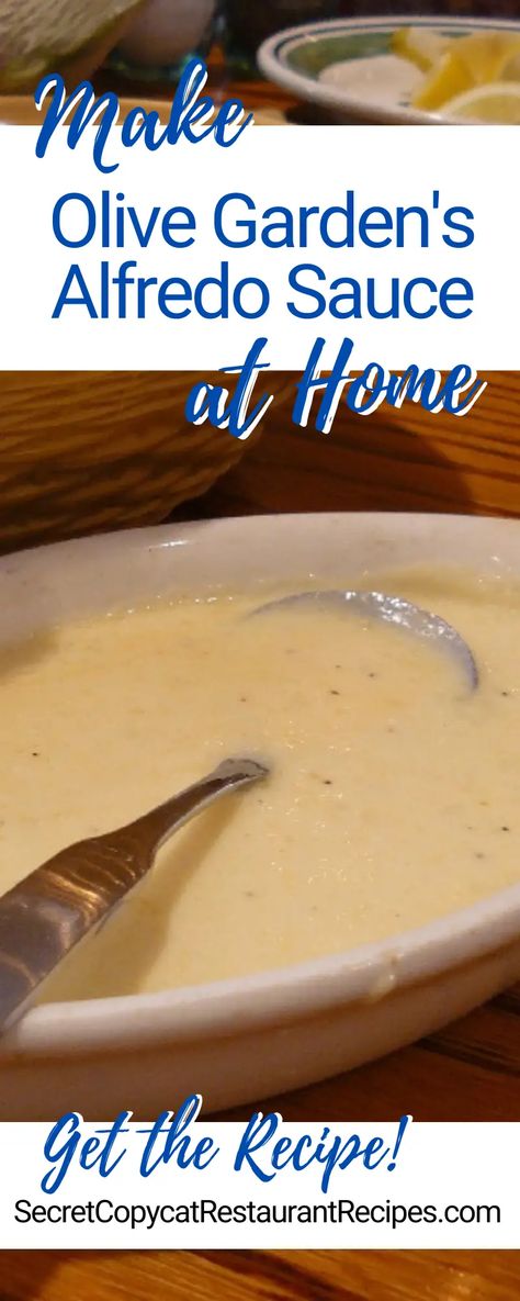 Olive Garden Alfredo Sauce Recipe Olive Garden Alfredo Sauce Recipe Copycat, Alfrado Sauce, Copycat Olive Garden Alfredo, Olive Garden Alfredo Sauce Recipe, Olive Garden Alfredo, Olive Garden Alfredo Sauce, Copycat Recipes Olive Garden, Alfredo Sauce Recipe, Copykat Recipes