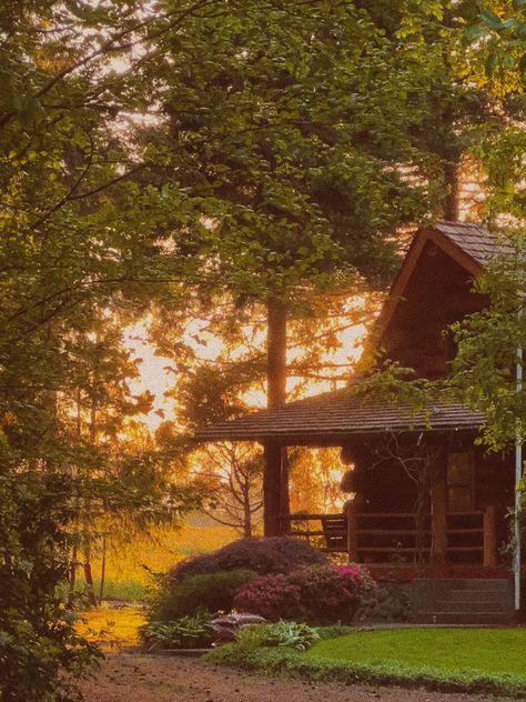 #cabin #summer #airbnb #travel Cabin In The Woods Aesthetic, Cabin Summer, Summer Camp Aesthetic, Wilderness Cabins, A Cabin In The Woods, Old Cabin, Cozy Summer, Summer Cabin, Cabin Aesthetic