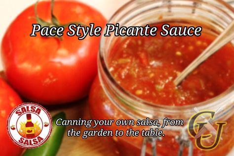 Culinary yoU: Pace Style Picante Sauce Pace Salsa Recipe, Pace Picante Sauce Recipe, Picante Sauce Recipe, Garden Vegetable Recipes, Canned Salsa Recipes, Salsa Canning Recipes, Paleo Sauces, Canning Salsa, Picante Sauce