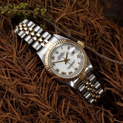 Elegant Watches Women, Rolex Oyster Perpetual Datejust, Automatic Watch Winder, Rolex Watches Women, Movado Watch, Rolex Women, Tissot Watches, Cute Watches, Oyster Perpetual Datejust