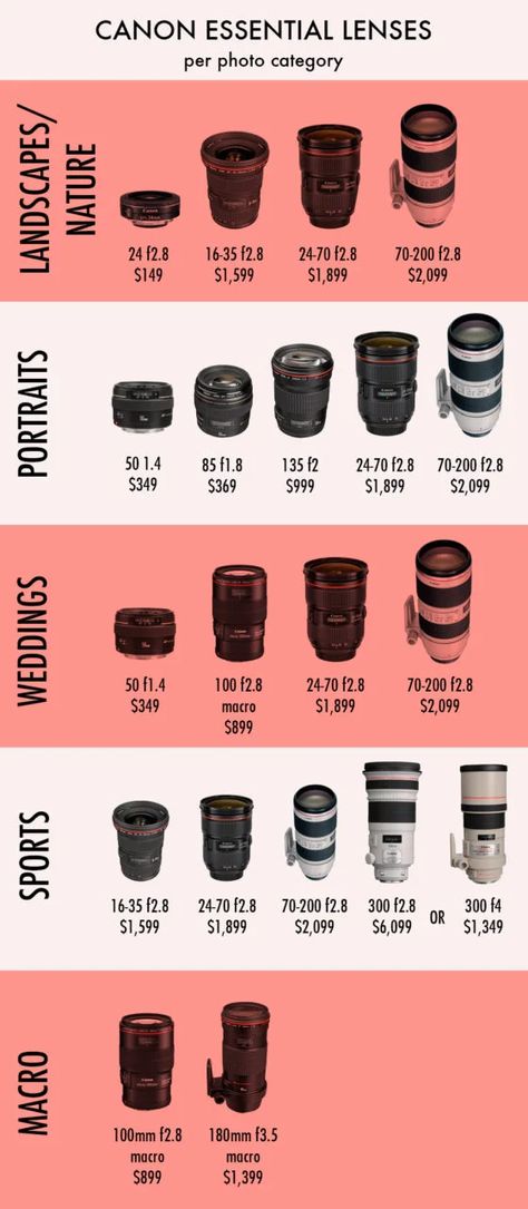 Dslr Nature Photography, Camera Basics, Fotocamere Vintage, Kamera Dslr, Digital Photography Lessons, Photography Tricks, Photography Settings, Photography Cheat Sheets, Camera Dslr