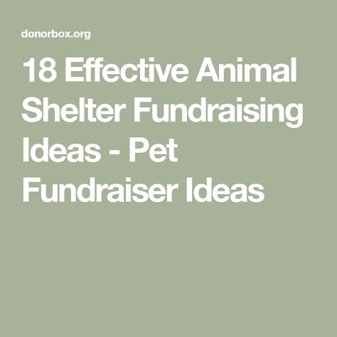 Non Profit Fundraising Ideas Animal Rescue, Dog Shelter Fundraising Ideas, Fundraising Ideas For Animal Shelters, Pet Fundraiser Ideas, Dog Fundraiser Ideas, Animal Fundraising Ideas, Animal Shelter Fundraiser Ideas, Animal Shelter Donation Ideas, Animal Shelter Ideas