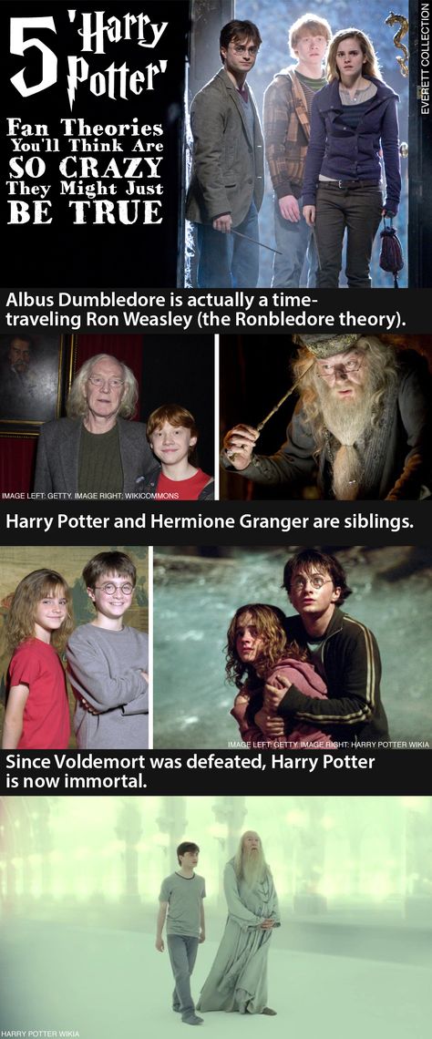 These Harry Potter fan theories are so crazy they might just be true! Click to check out the full list Harry Potter Books, Hp Facts, Harry Potter Facts, Humour, Harry Potter Fan Theories, Harry Potter Theories, Harry Potter Pin, Fan Theories, Potter Facts