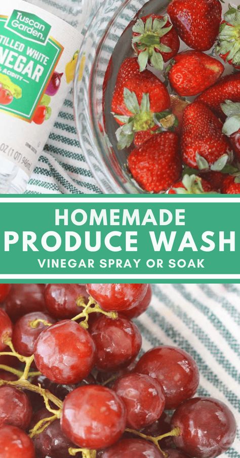 How to clean fruits and vegetables with vinegar using a homemade produce wash. Using a homemade vinegar based fruit wash, is important to removing a significant amount of the bacteria, pesticides and fungi (yes, fungi) that store-bought produce is coated in. Wash Fruit With Vinegar, Natural Homemade Cleaning Recipes, Growing Strawberries Indoors, Wash Produce, Produce Wash, Homemade Vinegar, Fruit Wash, Diy Vinegar, Vegetable Wash