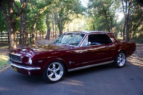 my 1966 Mustang coupe 289 C4 1969 Cherry Red Mustang, Old Mustang, Mustang 1966, Red Mustang, 1966 Mustang, 66 Mustang, Vintage Mustang, R34 Gtr, Ford Mustang Coupe