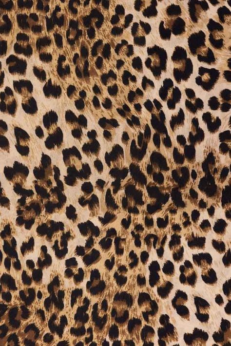 Pattern wallpaper Animal Print Background Wallpapers, Leopard Print Iphone Wallpaper, Glamour Leopard Print, Leaped Print Wallpaper, Lepord Print 2000s Wallpaper, Lepord Print 2000s, Leopard Print Background Aesthetic, Iphone Wallpaper Leopard, Cool Prints For Wall