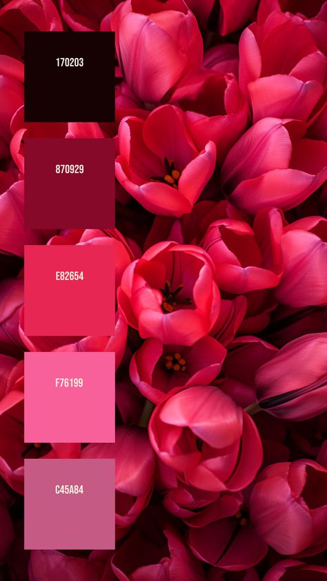 Colors:
170203
870929
E82654
F76199
C45A84 Deep Pink Color Palette, Bright Pink Colour Palette, Moody Spring Color Palette, Black And Pink Color Palette, Bright Pink Color Palette, Petals Drawing, Color Palette Flowers, Pink Color Palettes, Pink Pallet