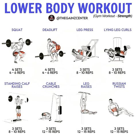 Lower Body And Abs Workout Gym, Lower Body Workout Gym Men, Leg And Abs Workout Gym, Ab And Lower Body Workout, Lower Day Workout, Lower Body Routine, Leg Abs Workout, Gym Workouts Lower Bodies, Lower Body Workout Men