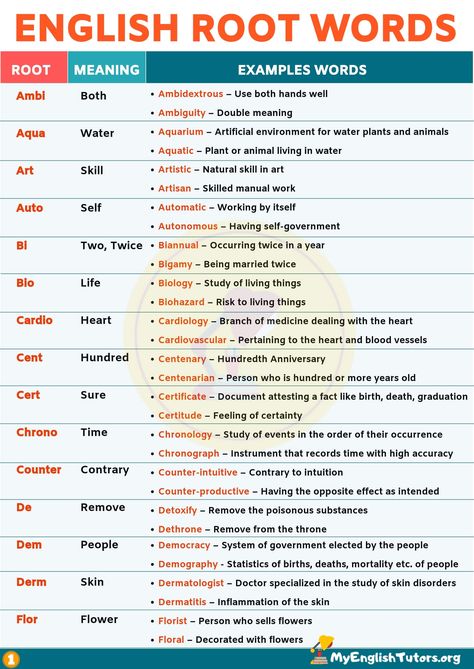 Root Words: Boost Your English Vocabulary With 45 Root Words - My English Tutors Word Formation, Word Of The Year, English Conversation, Root Words, English Writing Skills, Learn English Vocabulary, English Vocabulary Words Learning, English Learning, English Writing