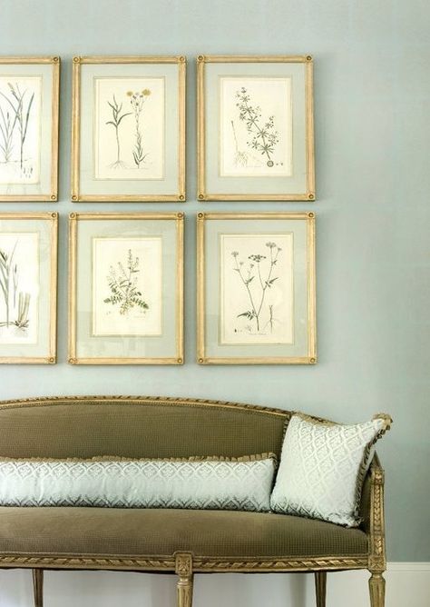 Botanical art framed with french matting by Liz Williams Interiors - Hadley Court Framed Botanical Prints, Traditional Dining Rooms, Cottage Shabby Chic, Antique Botanical Print, French Country Farmhouse, Traditional Dining Room, Modern Victorian, Framed Botanicals, Vintage Botanical Prints