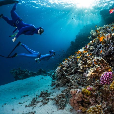 Underwater Ruins, Egypt Tourism, Tourism Design, Places In Egypt, Egypt Aesthetic, Volunteer Travel, Cave Diving, Maui Vacation, Visit Egypt