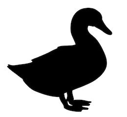 Duck Silhouette Tattoo, Duck Outline, Duck Sketch, Male Duck, Duck Silhouette, Backyard Ducks, Duck Tattoos, Chicken Pictures, Wood Carving For Beginners