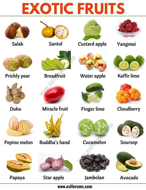 Exotic Fruits: List of 45+ Exotic Fruits from All Around the World Vegetables List, Fruits And Vegetables List, Name Of Vegetables, Fruits Name In English, Noni Fruit, Vocabulary English, Fruit Names, List Of Vegetables, Fruit List