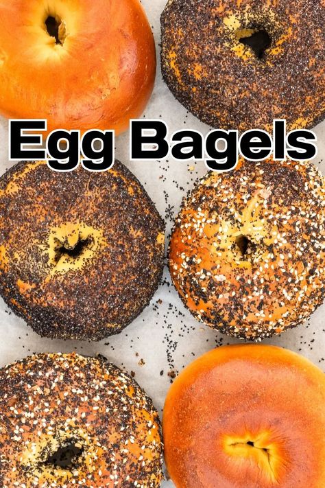 Egg Bagels Egg Bagels Recipe Homemade, Egg Bagel Recipe, Egg Bagels, Egg Bagel, Everything Seasoning, Plain Bagel, New York Bagel, Fluffy Eggs, Homemade Breads