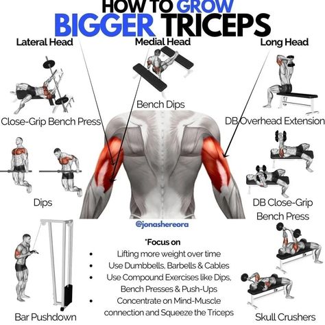 Bicep And Tricep Workout, Tricep Workout, Bicep Workout, Gym Antrenmanları, Gym Workout Chart, Gym Workouts For Men, Trening Fitness, Biceps And Triceps, Muscle Building Workouts