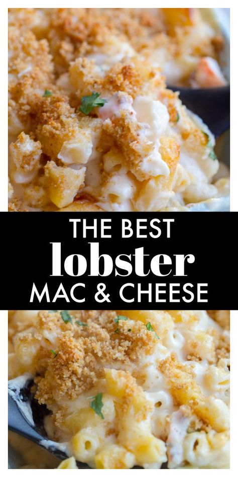 Lobster Macaroni and Cheese is a delicious and decadent recipe that's perfect for a special occasion like Christmas, New Years, or Valentine's Day! Lobster Mac N Cheese Recipe, Homemade Macaroni And Cheese, Seafood Mac And Cheese, Recipes With Ingredients, Lobster Mac, Lobster Mac And Cheese, Macaroni Recipes, Lobster Recipes, Macaroni Cheese