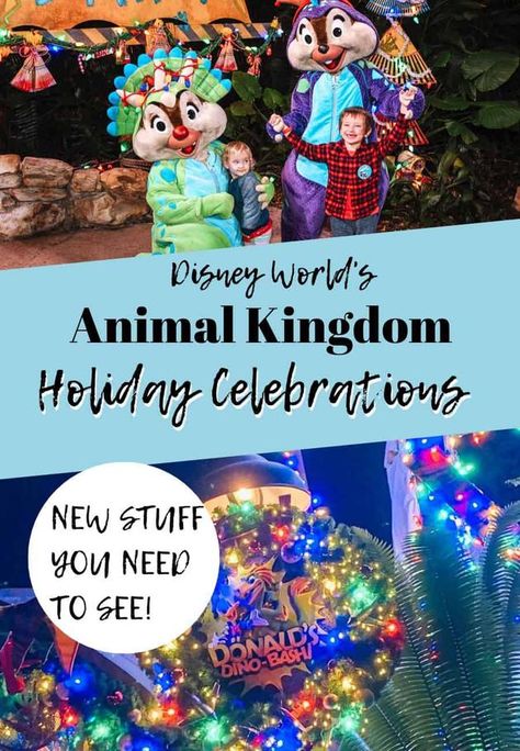 Animal Kingdom Christmas, Animal Kingdom Orlando, Disney Animal Kingdom, Walt Disney World Orlando, Walt Disney Characters, Disney Vacation Planning, Orlando Vacation, Downtown Disney, Disney Tips