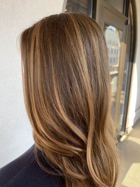 Warm Brown Hair, Rambut Brunette, Honey Brown Hair, Brown Hair Inspo, Brunette Hair With Highlights, Brown Hair With Blonde Highlights, Caramel Hair, Caramel Highlights, Honey Blonde Hair