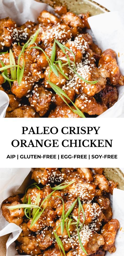 Aip Chicken Pho, Paleo Korean Chicken, Paleo Chicken Gravy, Paleo Thai Chicken, Simple Aip Breakfast, Aip Diet Dinner, Paleo Easy Meals, Aip Marinades For Chicken, Aip Gluten Free Recipes