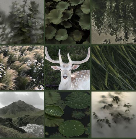 Results for quiz what’s your aesthetic but it’s my favorite rare aesthetics Mood Boards Nature, How To Make A Moodboard, Oc Board Ideas, Oc Aesthetic Ideas, My Aesthetic Board, How To Make A Mood Board, Oc Aesthetic Board, My Moodboard, Character Mood Boards Aesthetic