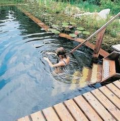 Natural Swimming Hole, Living Pool, Natural Swimming Ponds, Backyard Pond, Swimming Hole, Pond Waterfall, Swimming Pond, Natural Swimming Pools, Natural Swimming Pool