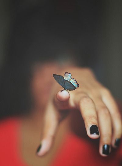 . Photographie Portrait Inspiration, Butterfly Kisses, Butterfly Effect, Bohol, Foto Art, Tumblr Wallpaper, Life Is Strange, A Butterfly, Beautiful Butterflies