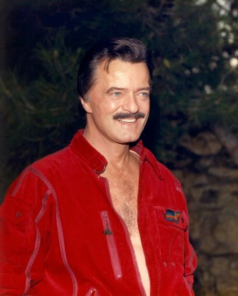 Robert Goulet Robert Goulet, Famous Veterans, Is It Just Me, Hollywood Star, Knights, My Mom, Just Me, The Face, Google Images