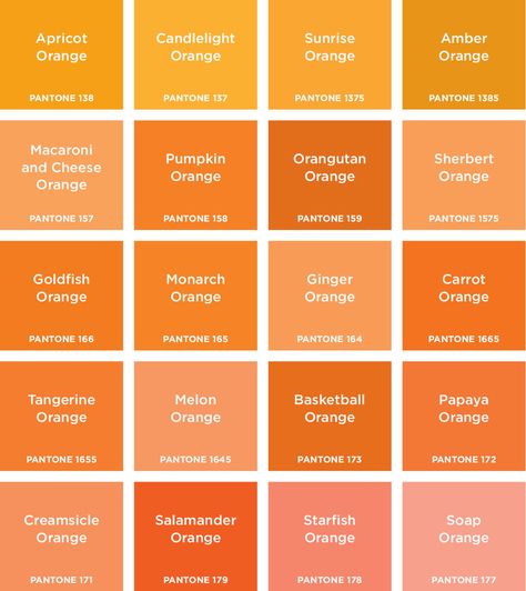 ORANGES - bridesmaid dresses can be any of these, except starfish and soap orange - alright maybe starfish... Orange Pantone, Pantone Orange, Photowall Ideas, Orange Bridesmaid, Orange Bridesmaid Dresses, Orange Color Palettes, Orange Paint, God Mat, Interior Painting