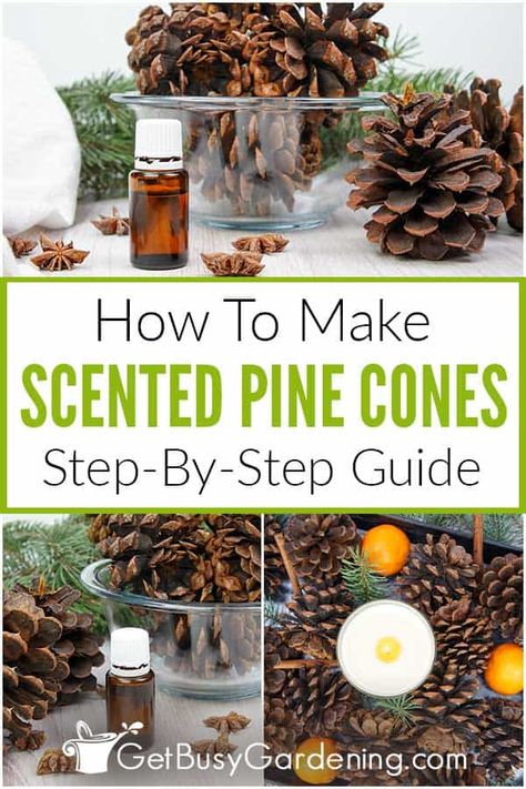 Make your own scented pine cones at home with this easy project that anyone can do. In this tutorial, I share all of the steps, materials, and equipment you’ll need. Use these DIY scented pine cones for your holiday display, or to create Christmas tree ornaments, wreaths, and more! Try my aroma combo of cinnamon, clove, and orange, or customize with your favorites, like peppermint, fir, balsam, or cedarwood. These homemade scented pine cones are frugal and quick to make with this how-to guide. Scented Pinecones Diy How To Make, Cinnamon Pine Cones How To Make, Diy Christmas Ornaments With Pinecones, How To Make Cinnamon Scented Pinecones, How To Display Pine Cones, Scented Pine Cones Diy, How To Scent Pinecones, Scented Christmas Ornaments Diy, Pine Cone Garland Diy How To Make