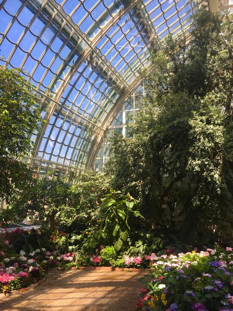 view inside of a large greenhouse with flowers and greenery with sunlight steaming in the windows, a light academia and cottagecore aesthetic 1800s Garden Aesthetic, Manor Garden Aesthetic, Dream Garden Aesthetic, Light Academia Castle, Palace Garden Aesthetic, Light Green Academia Aesthetic, Castle Garden Aesthetic, Greenhouse In Garden, Romantic Vibes Aesthetic