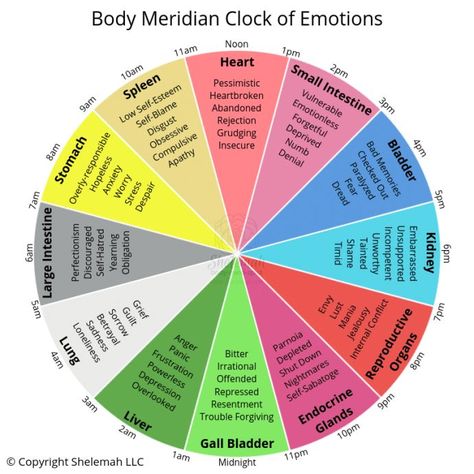 Body meridian clocks can give us clues to physical and emotional symptoms. Use this meridians energy chart to identify ares of emotional healing. #meridians #energyhealing Body Clock Chart, Acupuncture Meridian Chart, Well Digging, Energy Chart, Pendulum Work, Pendulum Chart, Circadian Clock, Dowsing Chart, Chakra Colours